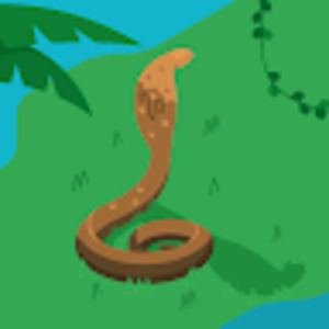 Meet your Posher, Joe